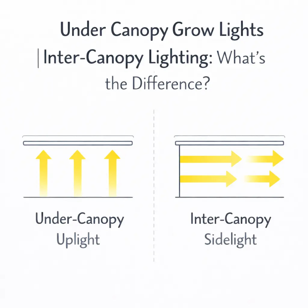 under canopy vs inter canopy lighting comparison for indoor grow rooms