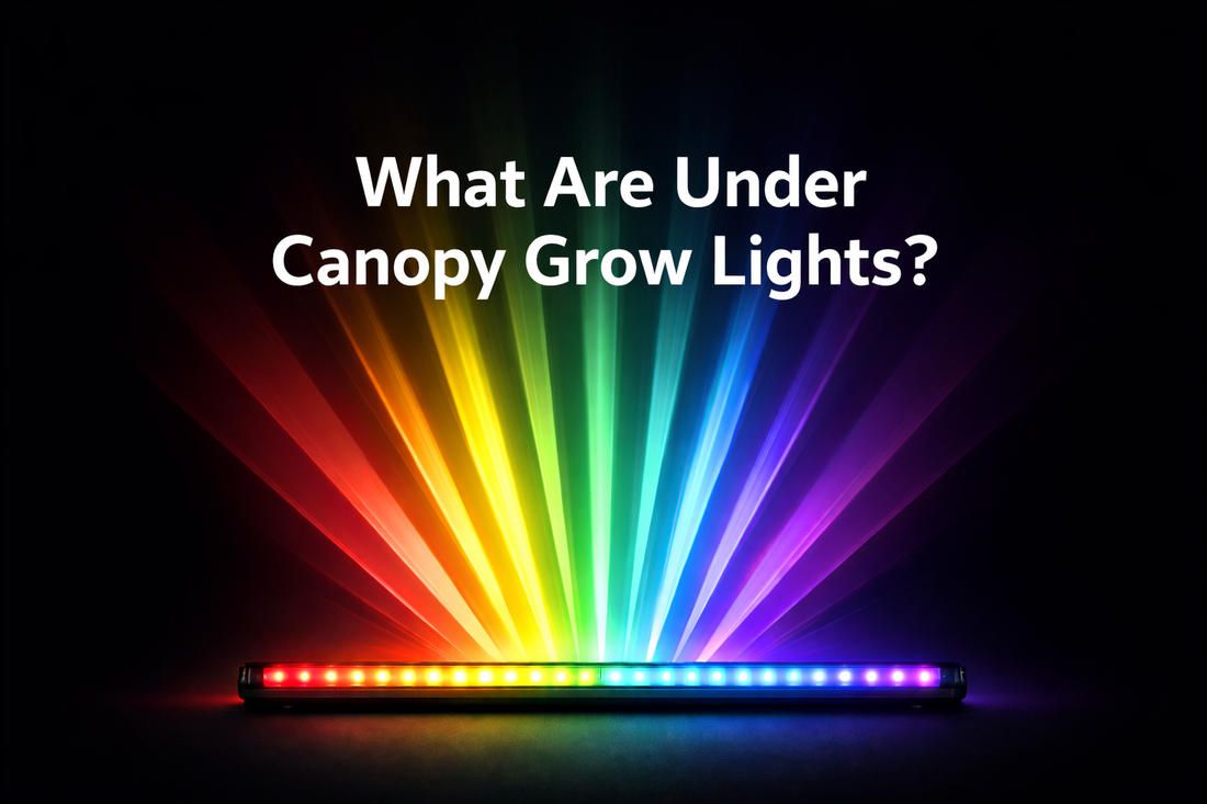 under canopy grow lights
