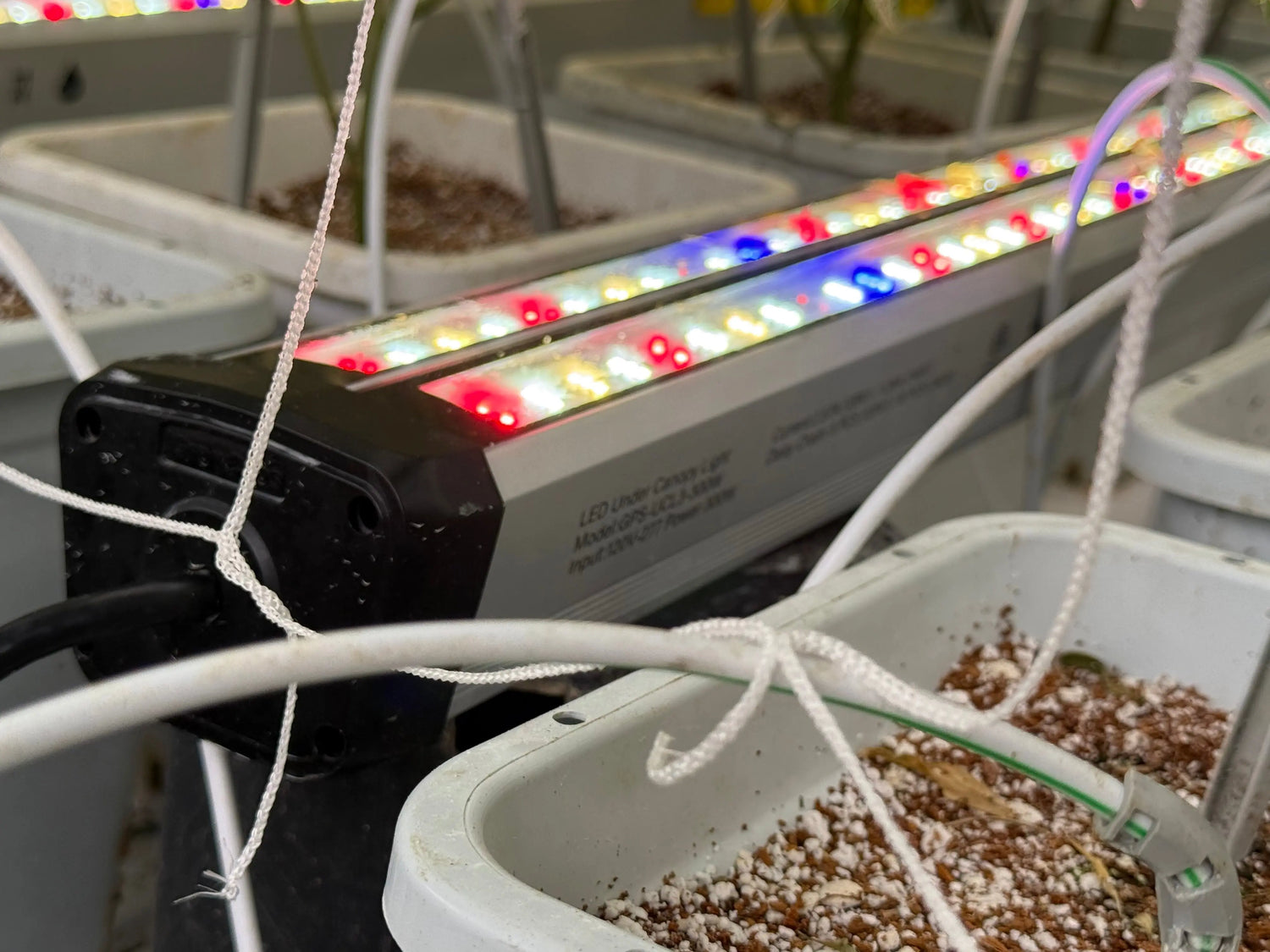 Under Canopy Lights Dual Channel