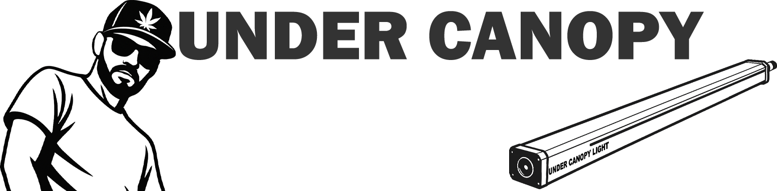 logo_d3d28b67-e886-4a67-97c8-f136f9a5a79d.png