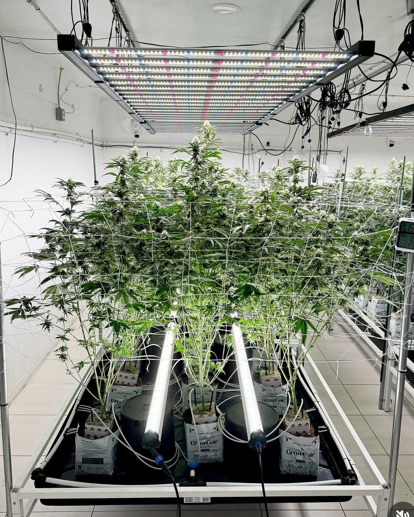 Under Canopy Grow Light